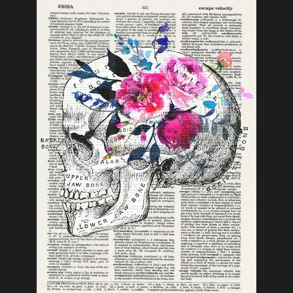Skull Pink Rose Anatomy Dictionary Art Print